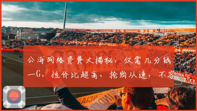 公海网络资费大揭秘，仅需几分钱一G，性价比超高，抢购从速，不容错过