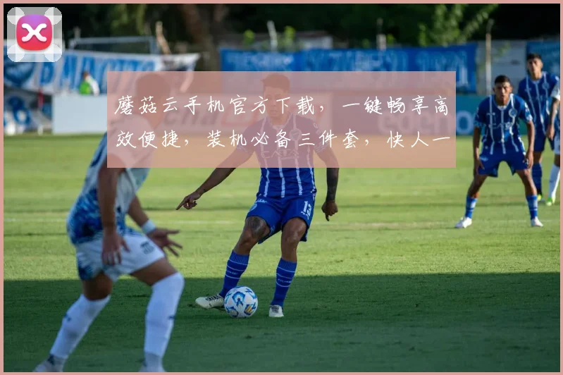 蘑菇云手机官方下载，一键畅享高效便捷，装机必备三件套，快人一步体验最佳